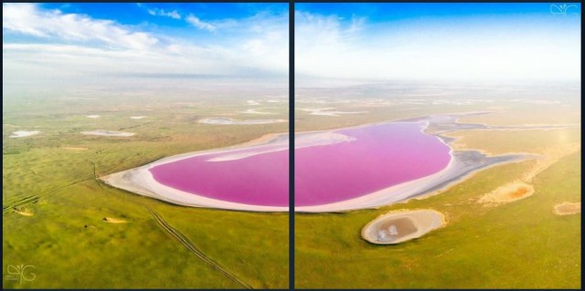 Пандемия. Коронавирус и съехавшие крыши. Россия и мир. Часть 35