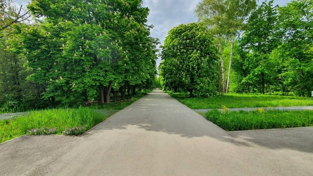 Но все-таки она наша... наша Куйбышев