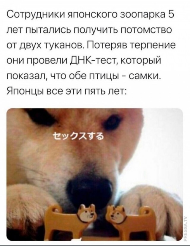 Немного мемчиков. Для взрослых 18+. Часть 6