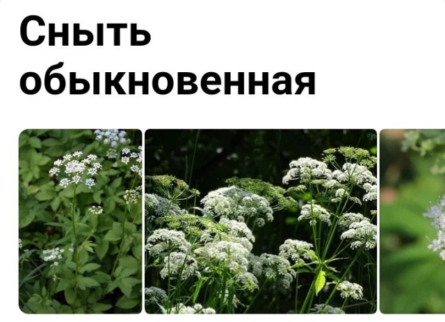 Увы, девки, природа, мы не при делах