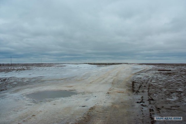 Вот в чем вся соль!