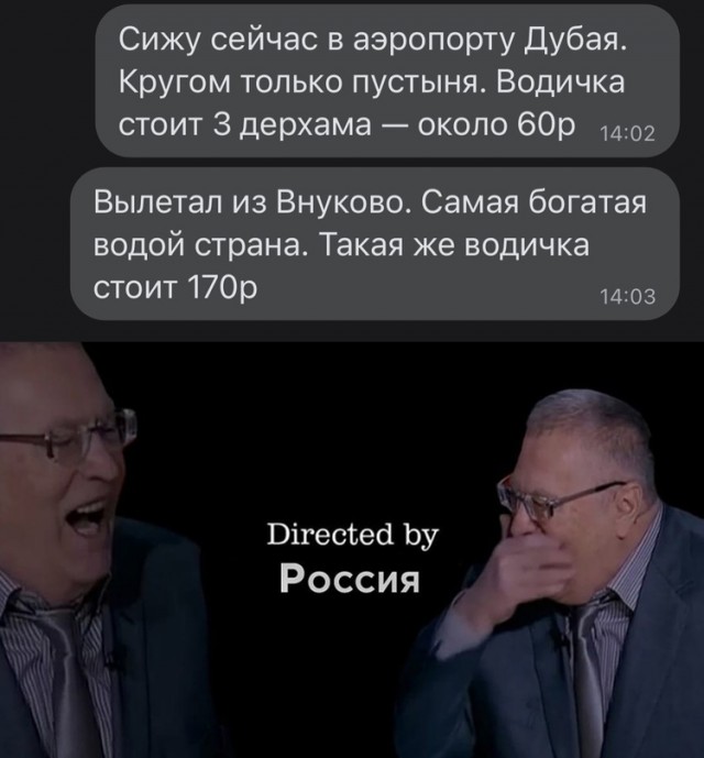 Весёлый полтишок 02.11.22