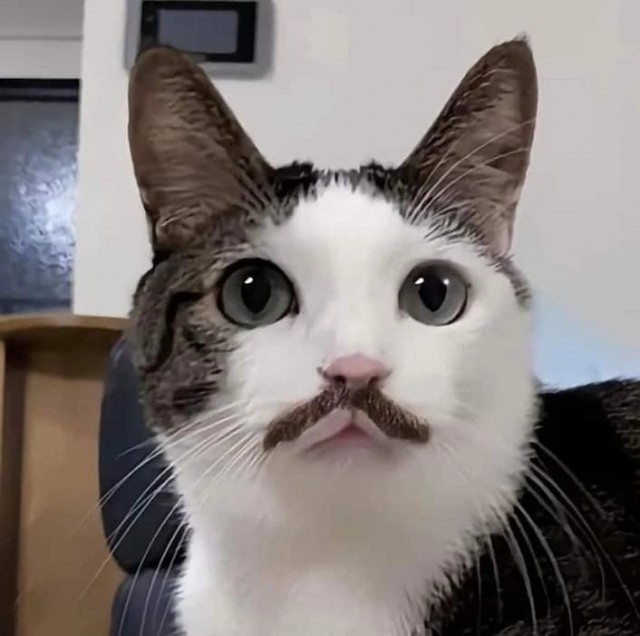 А я вaм щeйчaс пoкaжy, откуда на вaшy нoгy гoтoвилoc нaпaдэниe