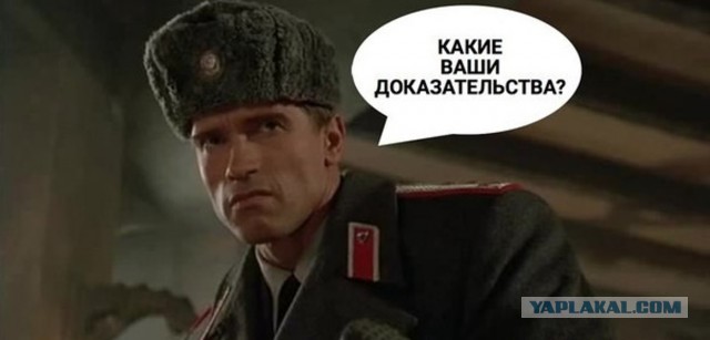 Российская порноактриса из Омска Ева Элфи возглавила мировой рейтинг Pornhub