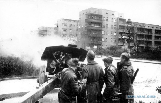 Фотографии второй мировой, многие цветные (фото)