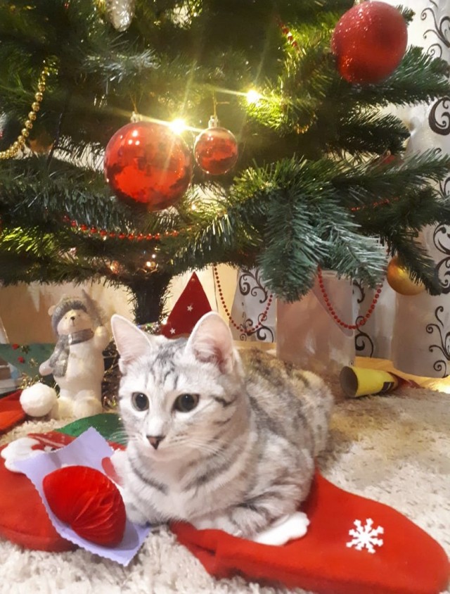 Два поколения