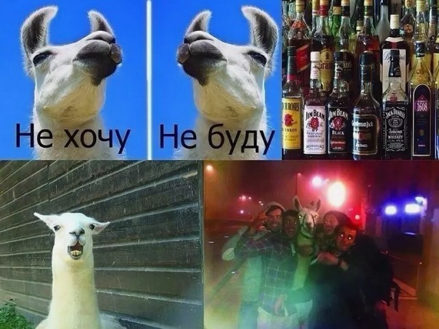 Алкогольные картинки