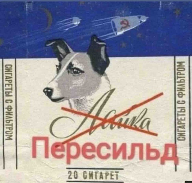 Космонавты резко отреагировали на возможное вручение Пересильд звезды Героя России