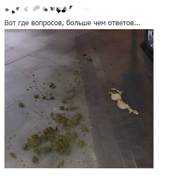 Картинки разнообразные