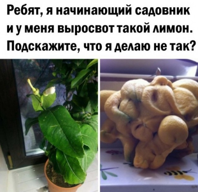 Скупка краденого из сети 04-06-2023