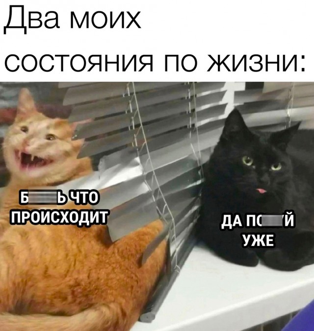 Так себе картинки 02.09.23