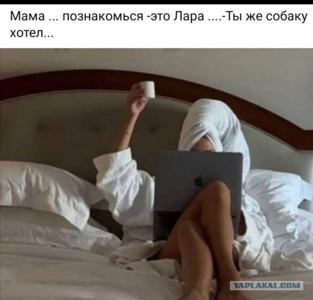 Картинки от Scodero 7