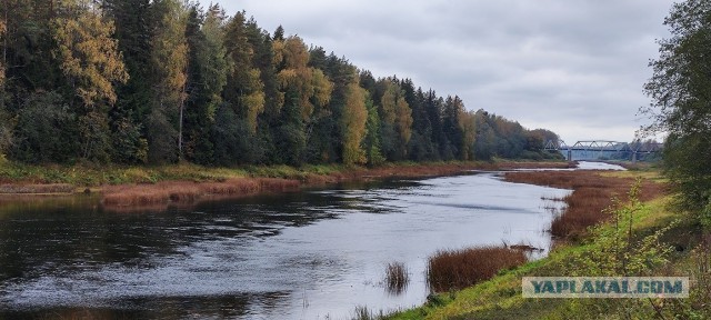 Краски осени
