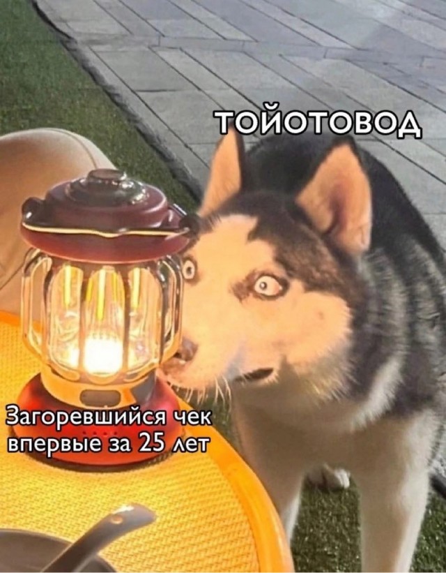 Тойота Камри. Не очень дорого..