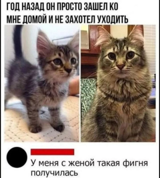 Всего понемногу. От 05.08.24