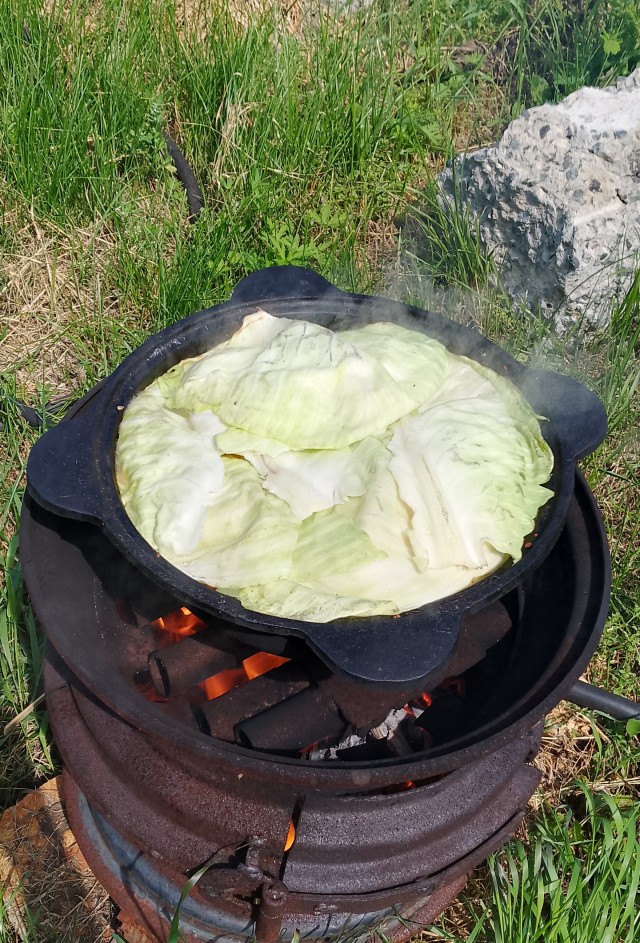 Психанула