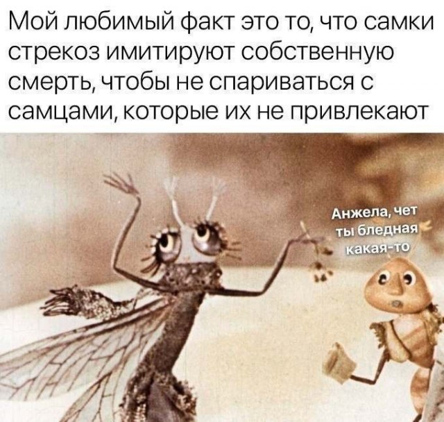 Завалялось тут случайно немного забавных картинок