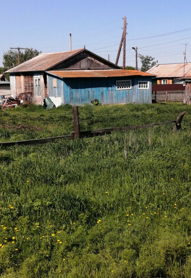 Переселение в деревни повысит рождаемость в России — директор Центрального экономико-математического института