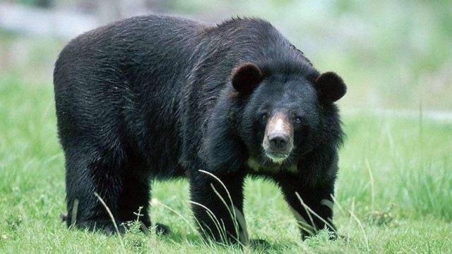 Новый уровень японских угроз