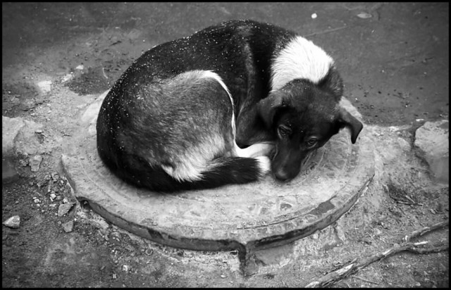 Фотографии из прошлого нашей страны – 90