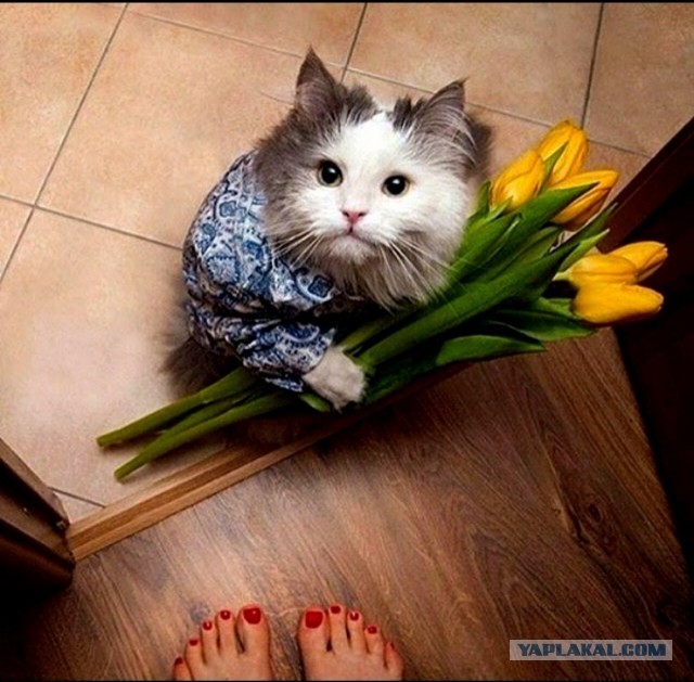 Дарите женщинам цветы