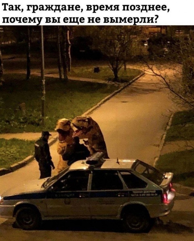 Мемы для хорошего настроения