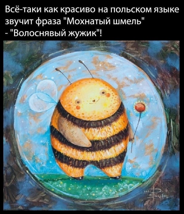 Весёлый полтишок 14.05.25.