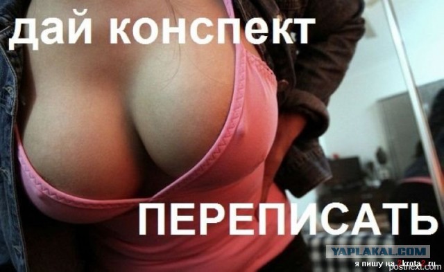 Дай списать?