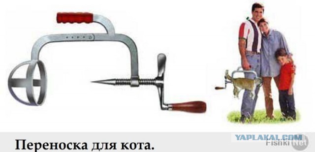 Так берут анализ мочи у кота