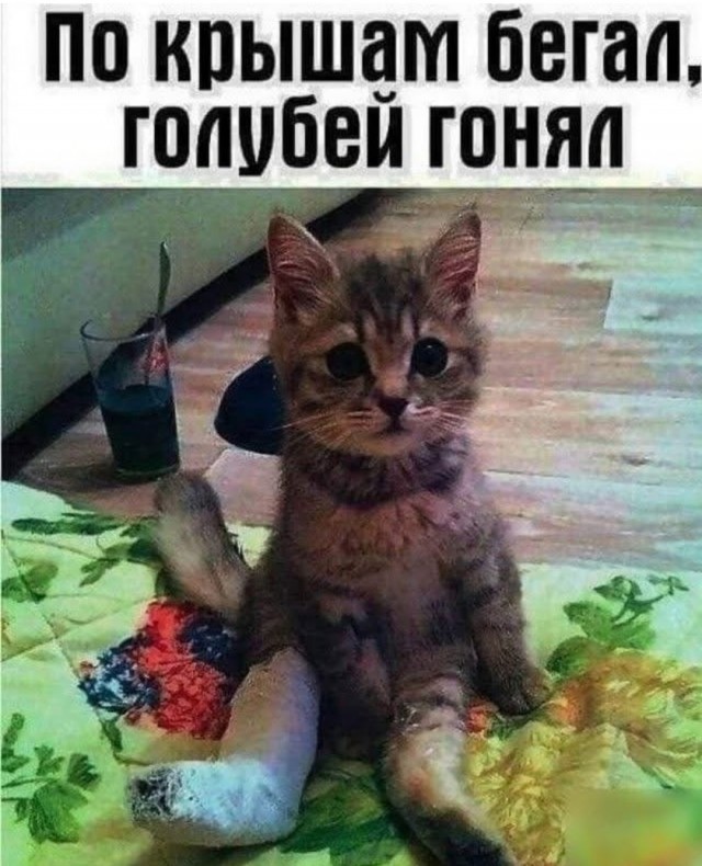 Так себе картинки 24.09.25