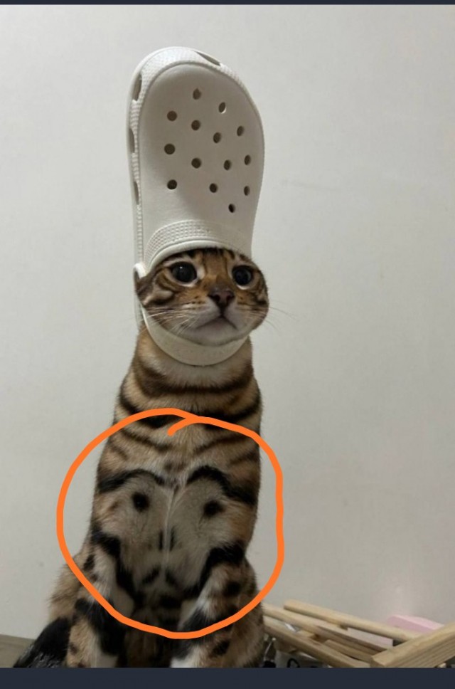 Это новый Папа Римский?