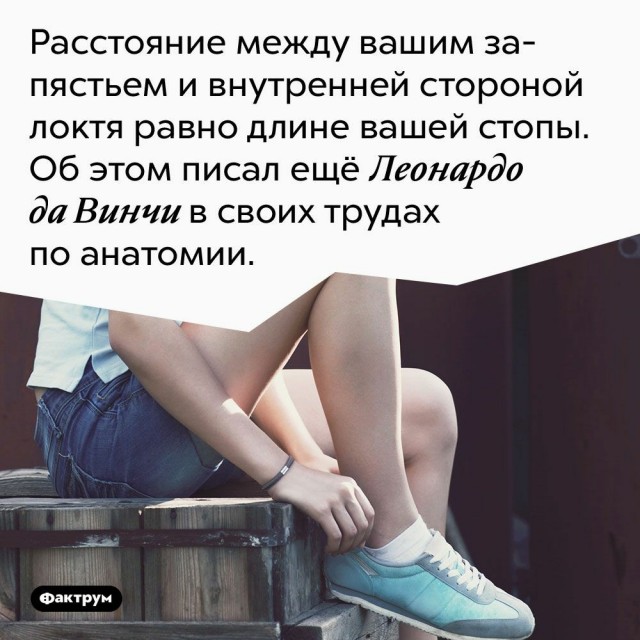 Куча-мала № 5