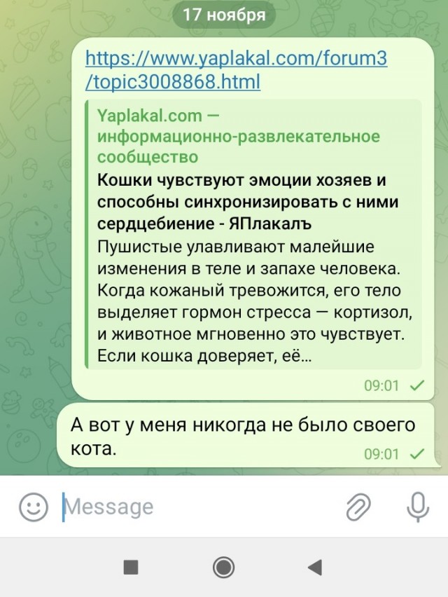 Кошки чувствуют эмоции хозяев и способны синхронизировать с ними сердцебиение