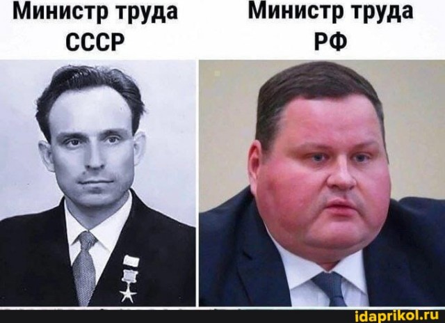 Почему работодатели нанимают тех, кто не умеет работать