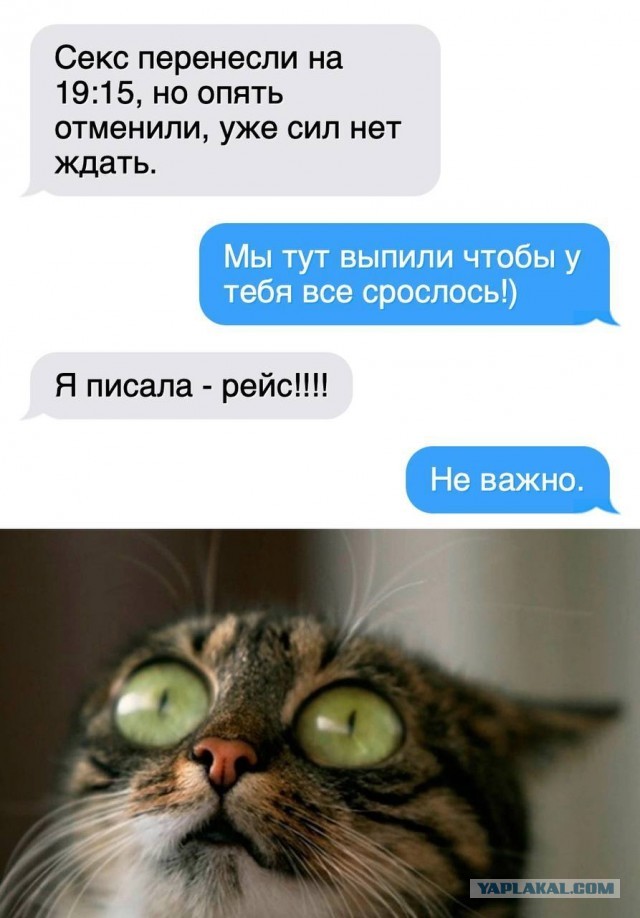 Так себе картинки 06.12.25