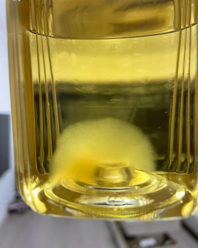 Китайцы начали заводить чайную плесень в качестве питомцев