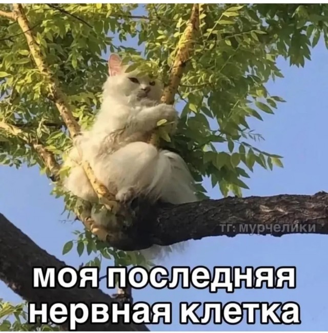 Вторника картинки