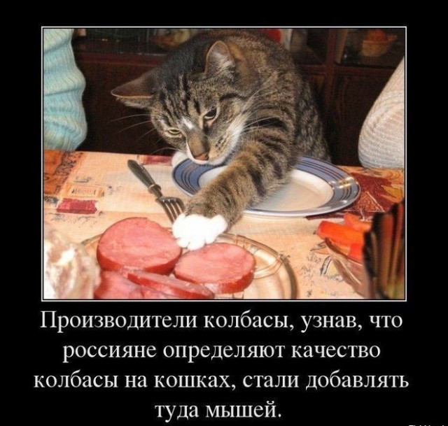ГОСТ не врет: из чего на самом деле делали колбасу в СССР