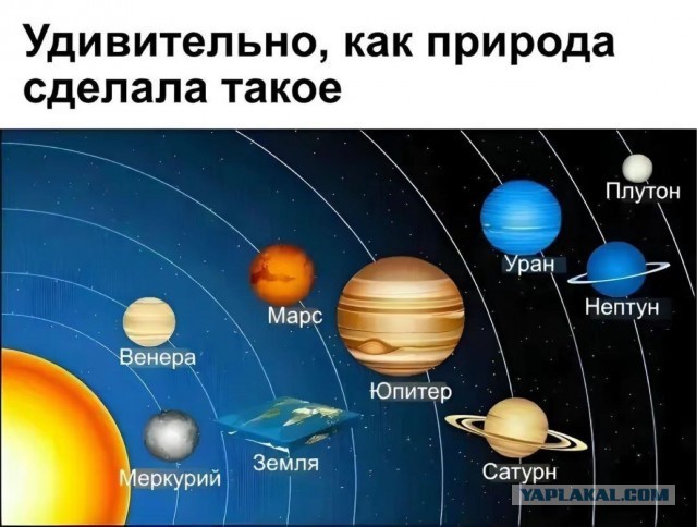 Воскресные картинки