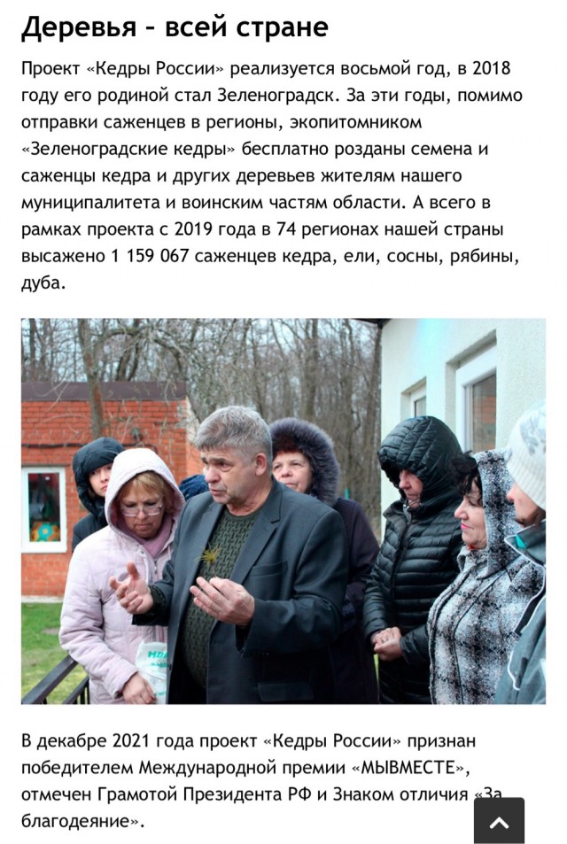 Он посадил 210 тысяч кедров. А ему сказали: «Это нарушение закона»