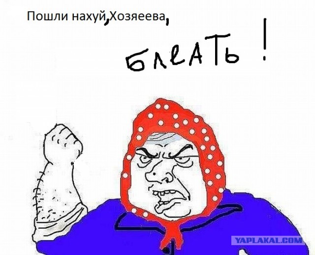 Медведи в ужасе убежали