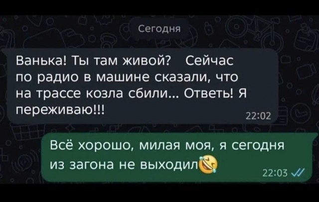 Картинки для деградации 251 (разной степени свежести)