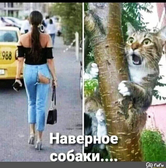 Прикольные и просто красивые картинки 21.08.2026