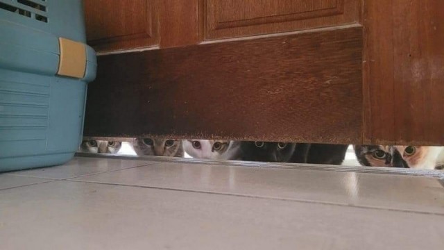 Картинки на субботу