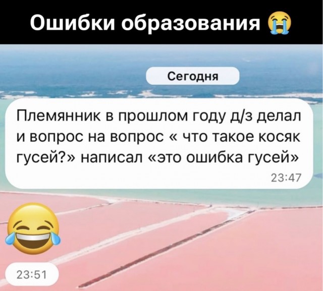 Картинки для деградации 278 (разной степени свежести)
