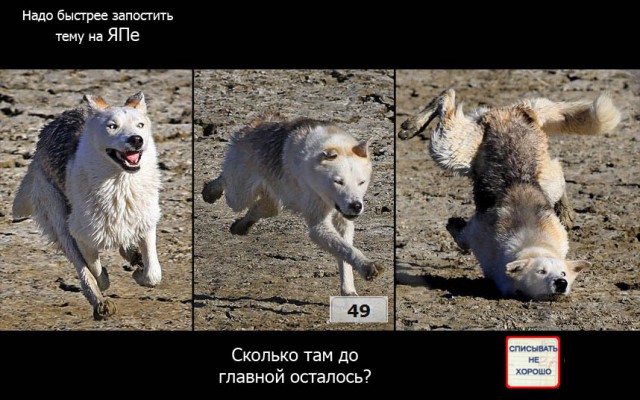 Шлёп