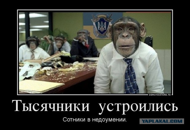 А ты кто такой! Киев, собрание панов сотников...