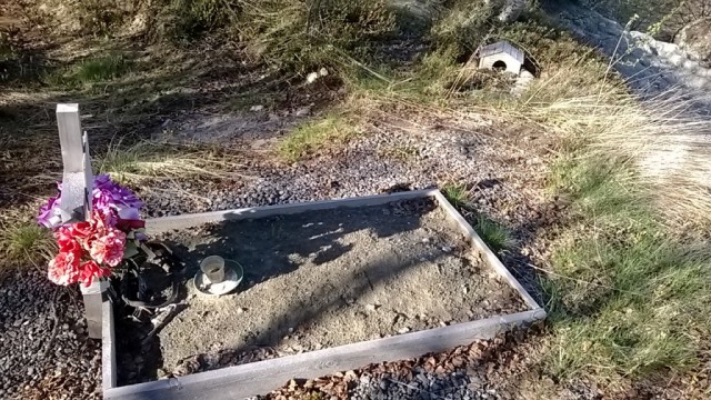 Кладбище домашних любимцев.