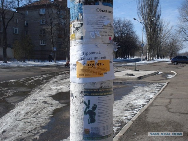 Всякое