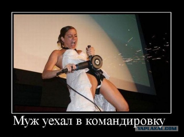 С миру по нитке. Демотиваторов чуть